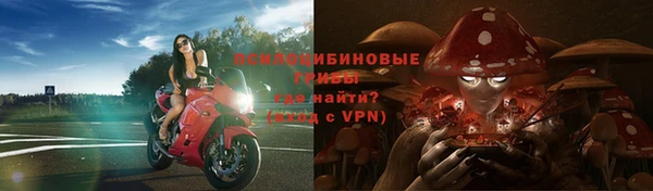 гидропоника Алзамай