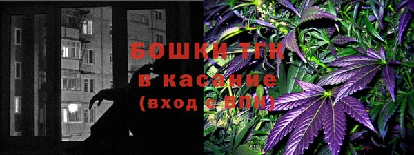 гидропоника Алзамай
