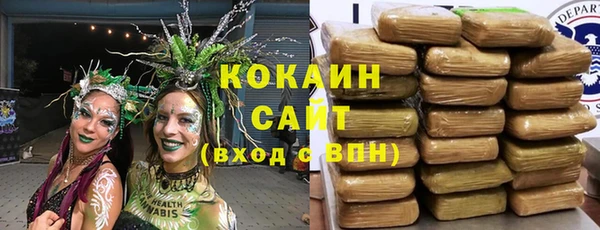 PSILOCYBIN Алексеевка