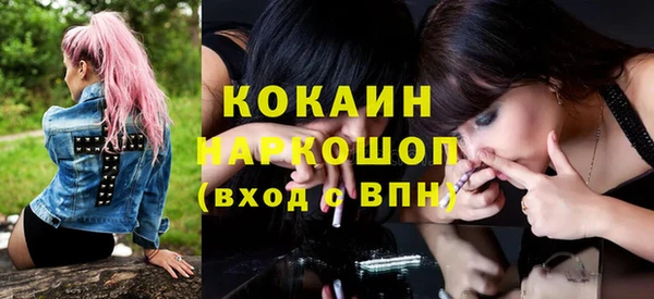 гидропоника Алзамай