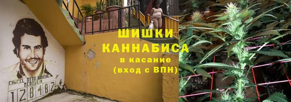 PSILOCYBIN Алексеевка