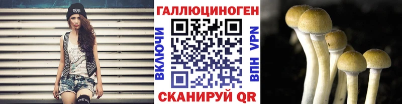 как найти наркотики  Новосиль  Галлюциногенные грибы мицелий 