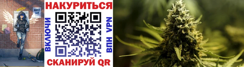 Каннабис гибрид  Новосиль 